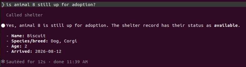 Claude Code calling the shelter tool
